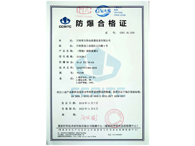 （智能）涡街星空(中国)防爆证